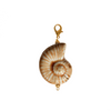 Coral Drop Charm