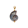 Concha Café Charm